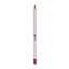 Pink Up - Lip Liner Flamingo PKLL22