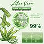 Sas - Gel Hidratante de Aloe Vera 12 Unidades SAH086